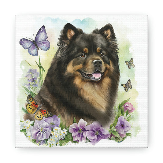 Finnish Lapphund - Spring #5 - Canvas