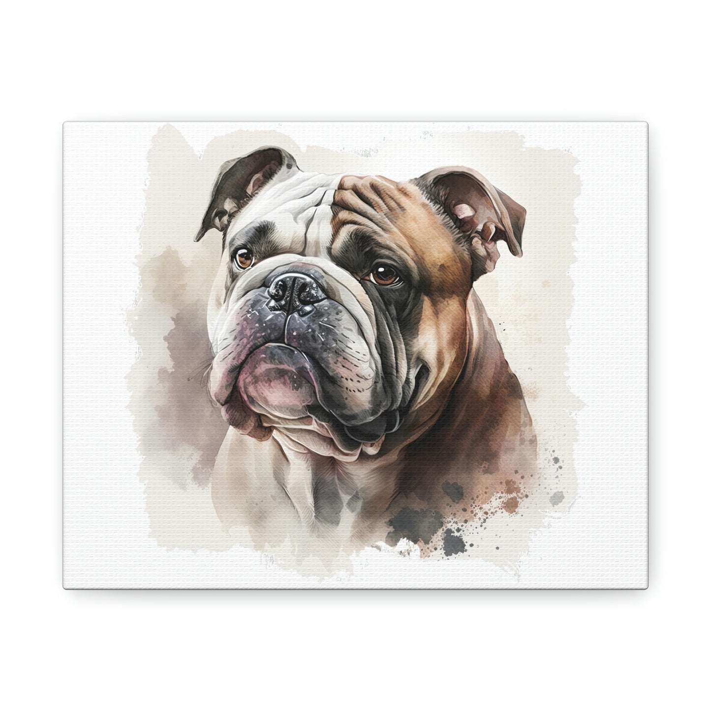 English Bulldog (Portrait) Canvas Gallery Wrap