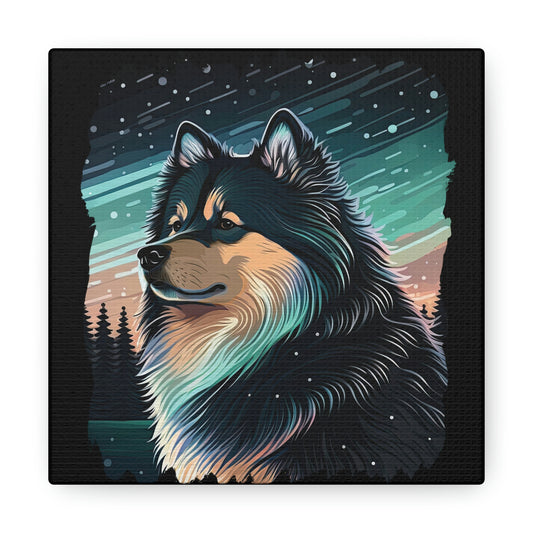 Finnish Lapphund - Stars #3 - Canvas