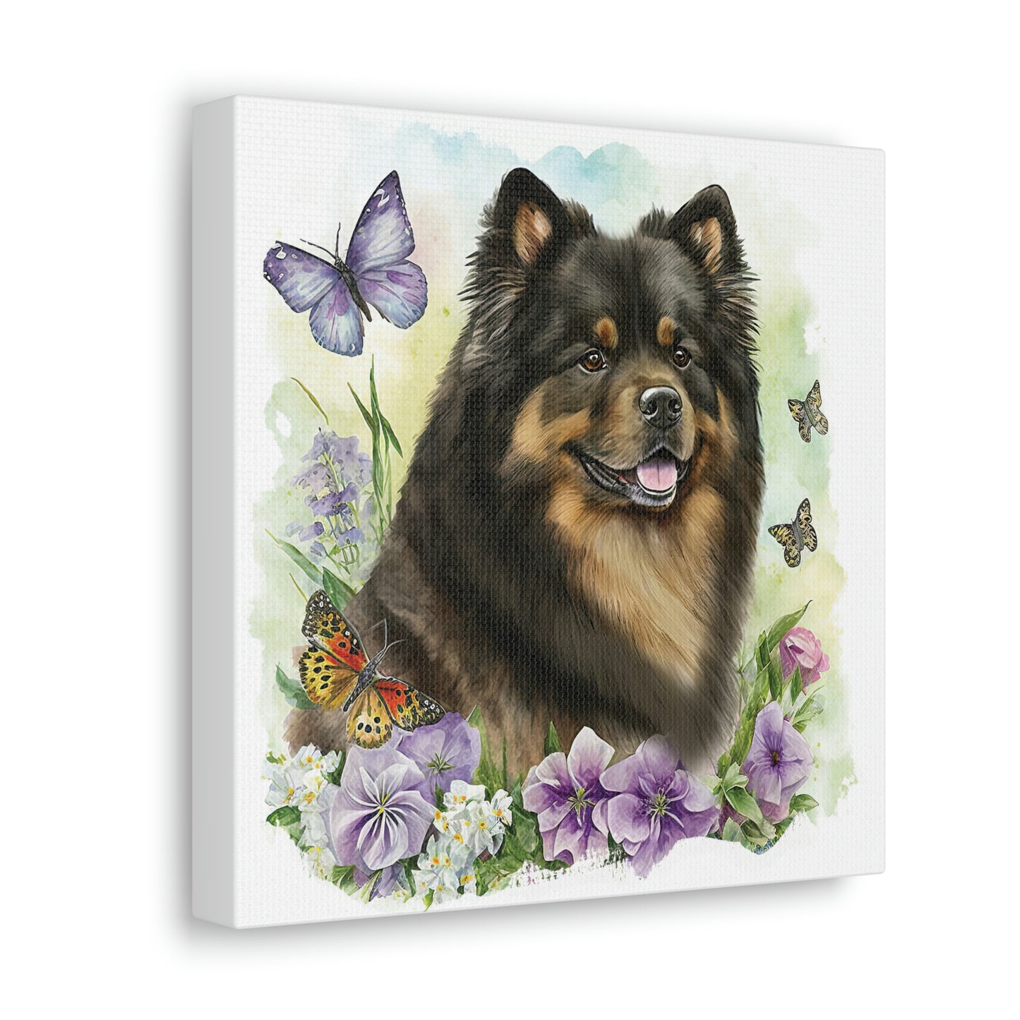 Finnish Lapphund - Spring #5 - Canvas