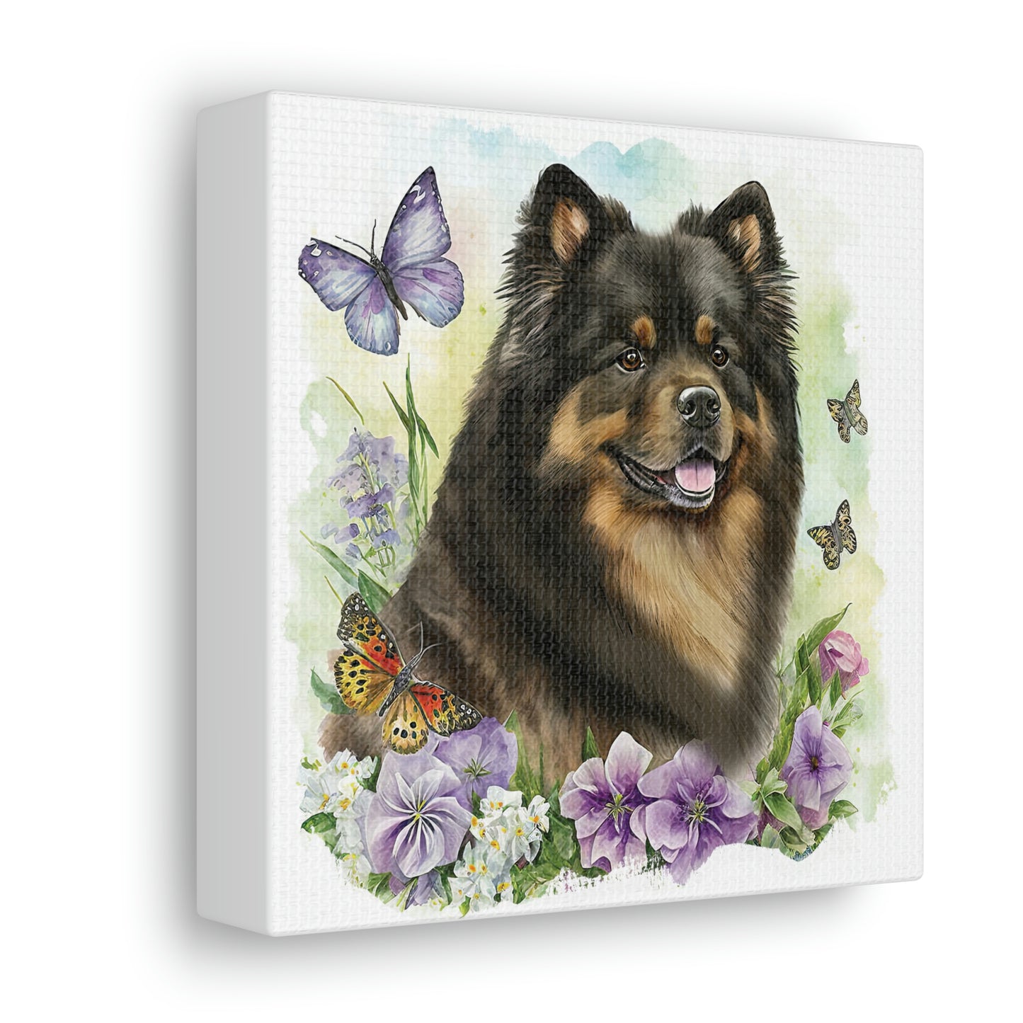 Finnish Lapphund - Spring #5 - Canvas